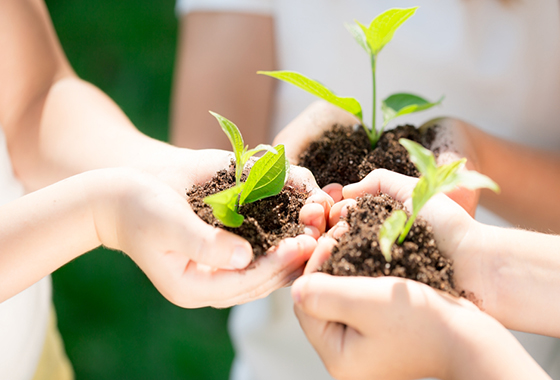 Responsabilidade Social e Sustentável 