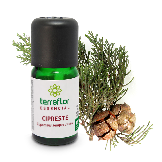 CIPRESTE