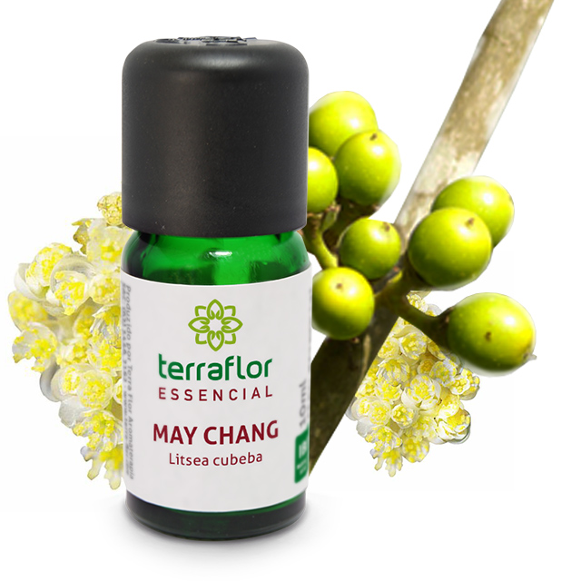 MAY CHANG