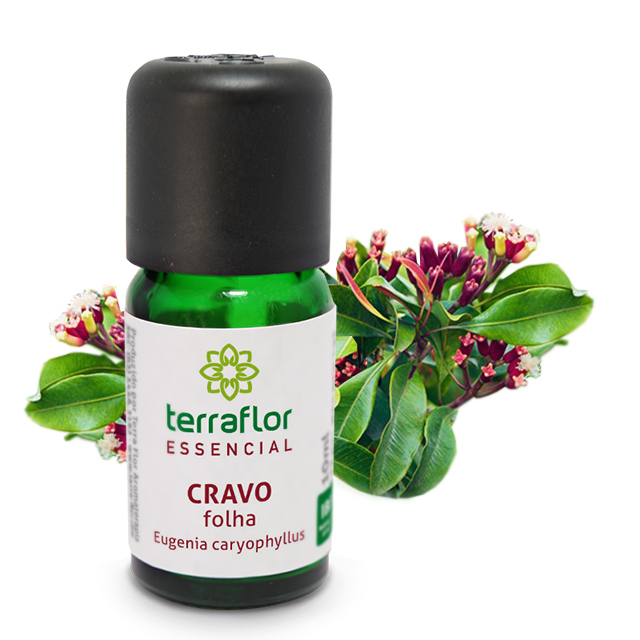 CRAVO FOLHA