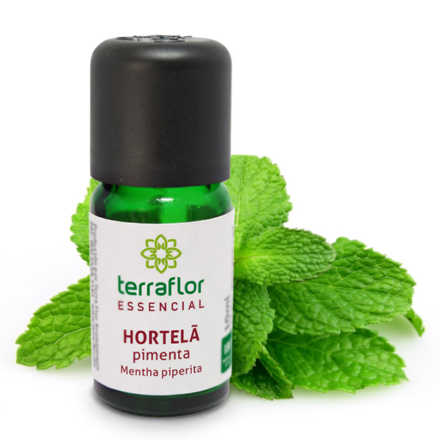 HORTELÃ PIMENTA